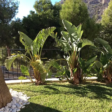 Olivos Dom wakacyjny Altea